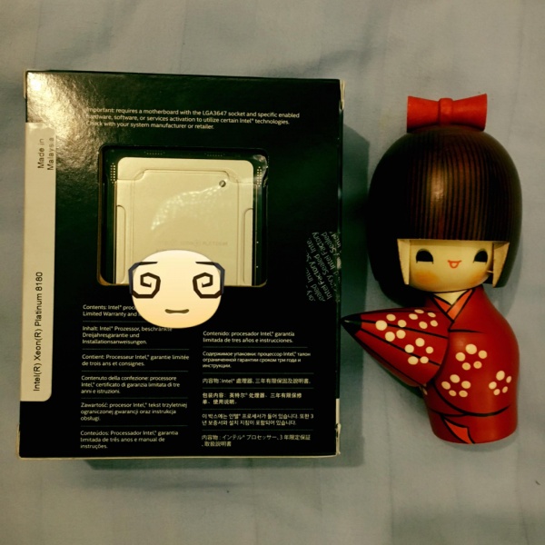 Platinum 8180 [2.5Ghz ~ 3.8Ghz 28core 56thread 38.5MB L3]